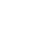 Local Travel & Expenses 